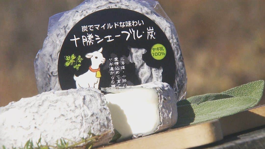 北海道放送「今日ドキッ!」さんのインスタグラム写真 - (北海道放送「今日ドキッ!」Instagram)「😋堀キャスターもとりこに？ヤギ乳😋  赤ちゃんヤギが、たまらずガブ飲みしちゃうほど魅力的なミルク🥛#ヤギ乳 を知っていますか？ カフェではソフトクリームに🍦味わい深いチーズにも変身🧀新たな名物グルメになるのか #もうひとホリ 😃あの #ガブリエル も元気です🌟  #ＨＢＣ #堀啓知 #アナウンサー #北海道 #札幌 #清水町」10月31日 12時35分 - hbc_kyodoki