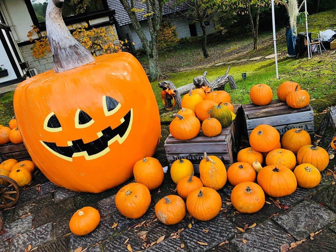 のインスタグラム：「Halloween !! いつか、がっつり仮装するの夢。」