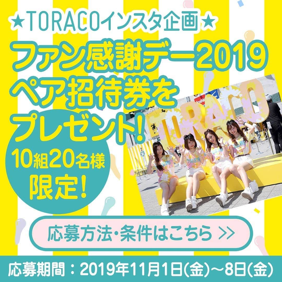 TORACOさんのインスタグラム写真 - (TORACOInstagram)「★TORACOインスタ企画！★ TORACOのみなさんにお知らせです！ 11月23日(土)、阪神甲子園球場で行われる阪神タイガースファン感謝デー2019にペアで10組20名様の女性をご招待いたします！是非ご応募ください♪ ■応募期間：2019年11月1日(金)〜8日(金) ■応募方法： ①@toraco_tigersをフォローしてね ②公開アカウントで今年のTORACOユニフォームを着用した写真をアップしてね (非公開の方は対象外となります。) ③#TORACOファン感2019　のタグをつけてね ■応募条件： ①20歳以上の女性(一緒に来場される方も20歳以上の女性となります） ②シークレットイベントに参加していただきます(一緒に来場される方も参加していただきます） ■特典：ファン感謝デーのペア招待券 (イベントに参加する女性2名でご来場ください) ★ご当選の方には11月9日（土）～10日（日）にメッセージにてお知らせいたします。シークレットイベントの内容や注意事項はご当選の方のみご案内いたします！ ※今年はシークレットイベントにご参加いただくのが必須条件となる為、応募や参加に年齢制限を設けております。予めご了承ください。  #TORACO#阪神タイガース#ファン感謝デー2019#TORACOファン感2019」10月31日 13時16分 - toraco_tigers