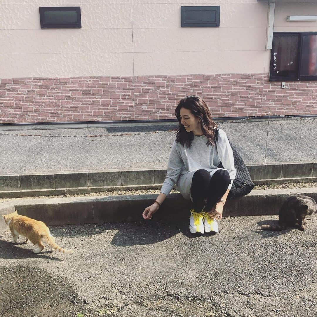 RINAさんのインスタグラム写真 - (RINAInstagram)「ネコ、ネコ　🐈　ネコ💛🧡」10月31日 13時25分 - rina_karina0417