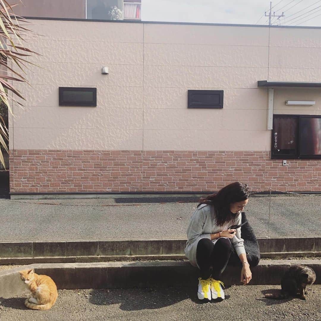 RINAさんのインスタグラム写真 - (RINAInstagram)「ネコ、ネコ　🐈　ネコ💛🧡」10月31日 13時25分 - rina_karina0417