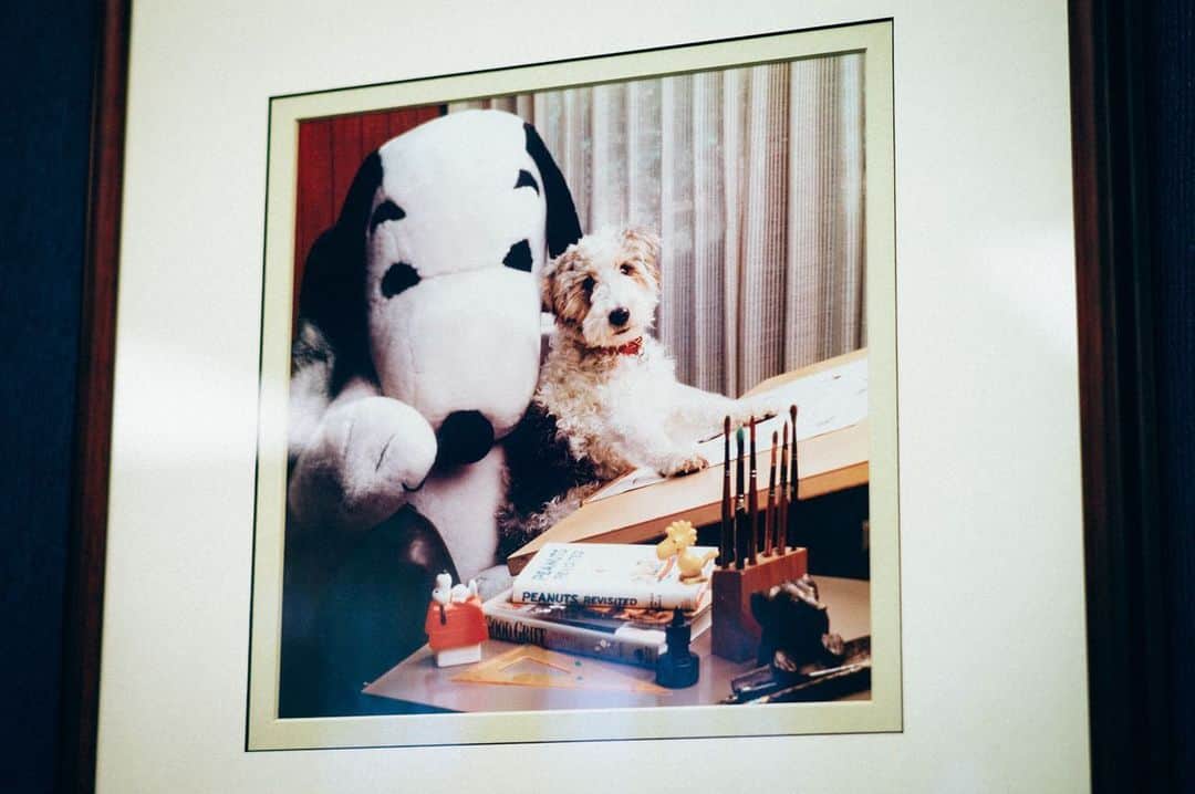 SNOOPY MUSEUM TOKYOのインスタグラム：「#snoopymuseumtokyo #schulzmuseum #santarosa  #snoopy #スヌーピーミュージアム #スヌーピー #12月14日オープン」