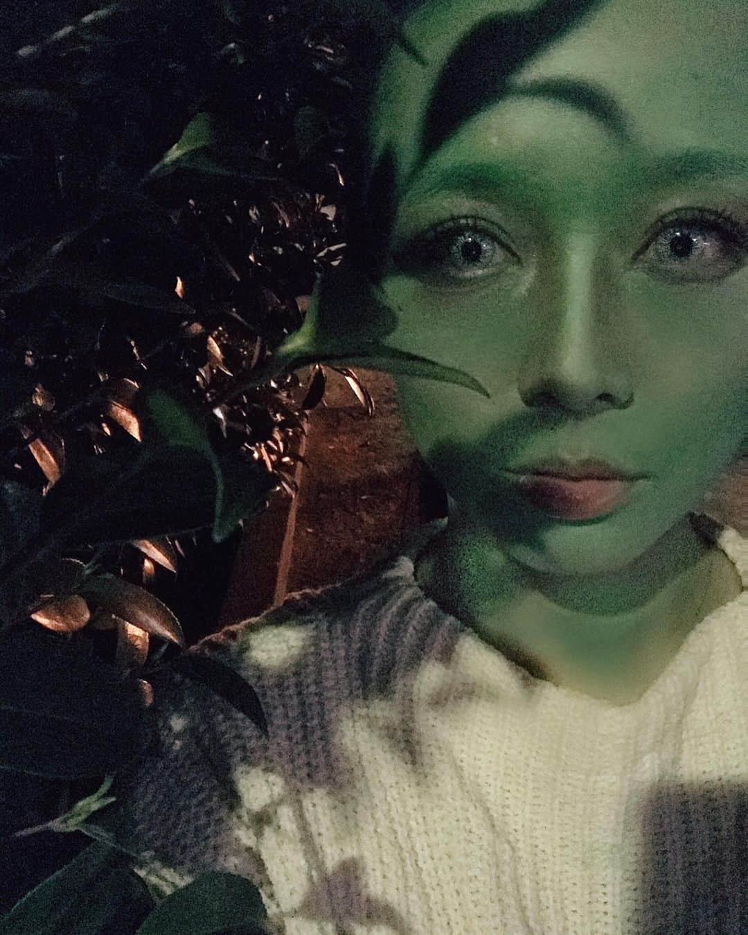 野田華子さんのインスタグラム写真 - (野田華子Instagram)「happy Halloween🎃👻🦇🍬﻿ ﻿ しつこいほど載せてる赤の女王🌹🏰🖤﻿ 私のハロウィンは、やはりこれを超えるのはもうできないと思う😂😂😂﻿ カカオの3人&子供達で行ったディズニー楽しかったな💕﻿ (白塗りやかぶり物が禁止とか色々制限が厳しくなってから、ディズニー仮装も難しくなっちゃったよね🤔💦)﻿ ﻿ 2枚目は去年ママ友としたエイリアン👽﻿ 茂みに潜むエイリアン👽笑﻿ 「ママそれで外歩くの？🤣🤣🤣」と子供達に散々笑われたけど﻿ これでしれっと帰りました。﻿ (もちろん子供達はエイリアンなんかじゃなくて可愛い系の仮装😂)﻿ ﻿ まだ渋谷のハロウィンがここまで流行る前、こんなに問題になってない時に渋谷で仮装したのもいい思い出。﻿ 渋谷の件で色々問題になってるの見ると悲しいな〜。﻿ ルールを守って迷惑かけずに楽しめば間違いなく経済効果も高いし、普段頑張ってる日常生活の楽しみの1つとして素敵なイベントになるはずなのにね。﻿ 大人の仮装は悪❗️わざわざ外に出て何がしたいんだ❗️﻿ って必要以上に叩かれてる風潮になってるのが残念だな。﻿ と、ハロウィン仮装散々して楽しんで来た私は思ったり🎃﻿ ﻿ 今年は仮装予定なしだけど、(やりつくして満足)子供達が喜ぶから少しハロウィン仕様ディナーにしようかな🎃👻﻿ ﻿ ﻿ ﻿ #ハロウィン﻿ #仮装﻿ #Dハロ﻿ #赤の女王﻿ #不思議の国のアリス﻿ #エイリアン﻿ #Halloween﻿ #🎃﻿ #👻」10月31日 14時57分 - noda.hanako