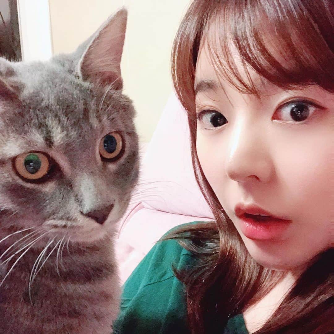 サニー のインスタグラム：「#후추는언제까지클까 #아무리봐도조상중에메인쿤있는듯」