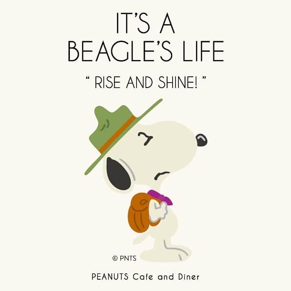 ピーナッツ カフェのグルメインスタ