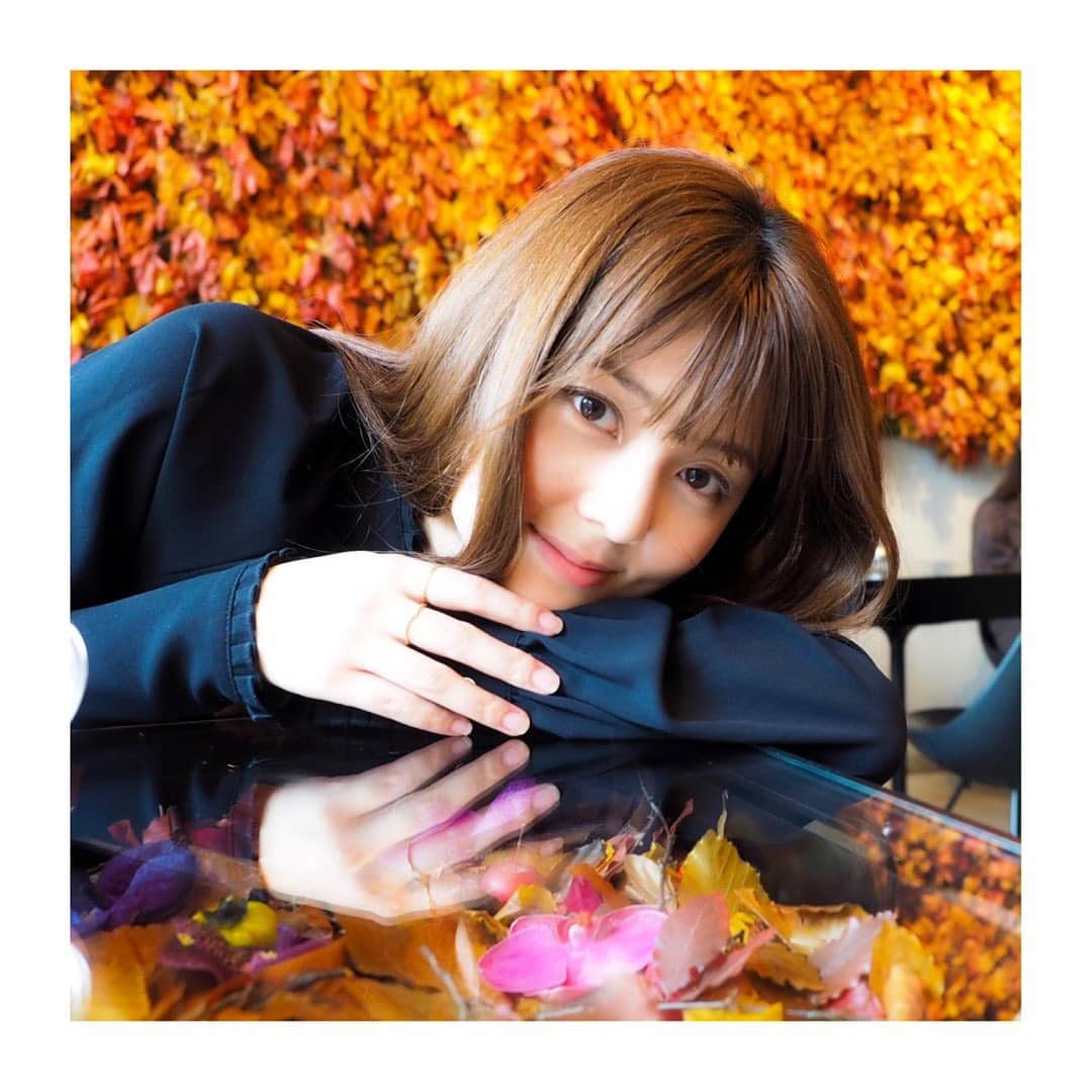 佐藤梨那さんのインスタグラム写真 - (佐藤梨那Instagram)「Happy Halloween 🎃🍭 ． 3才の私はお菓子をもらうに必死だったなぁ🎃 食い意地はこの時からか…🍫🍩． 🎃  #trickortreat 👻 #このカツラはお母さんの手作り #さっき初めて知りました  #好きなHalloweenゲームは #アップルボビング 🍎」10月31日 16時14分 - sato_lina