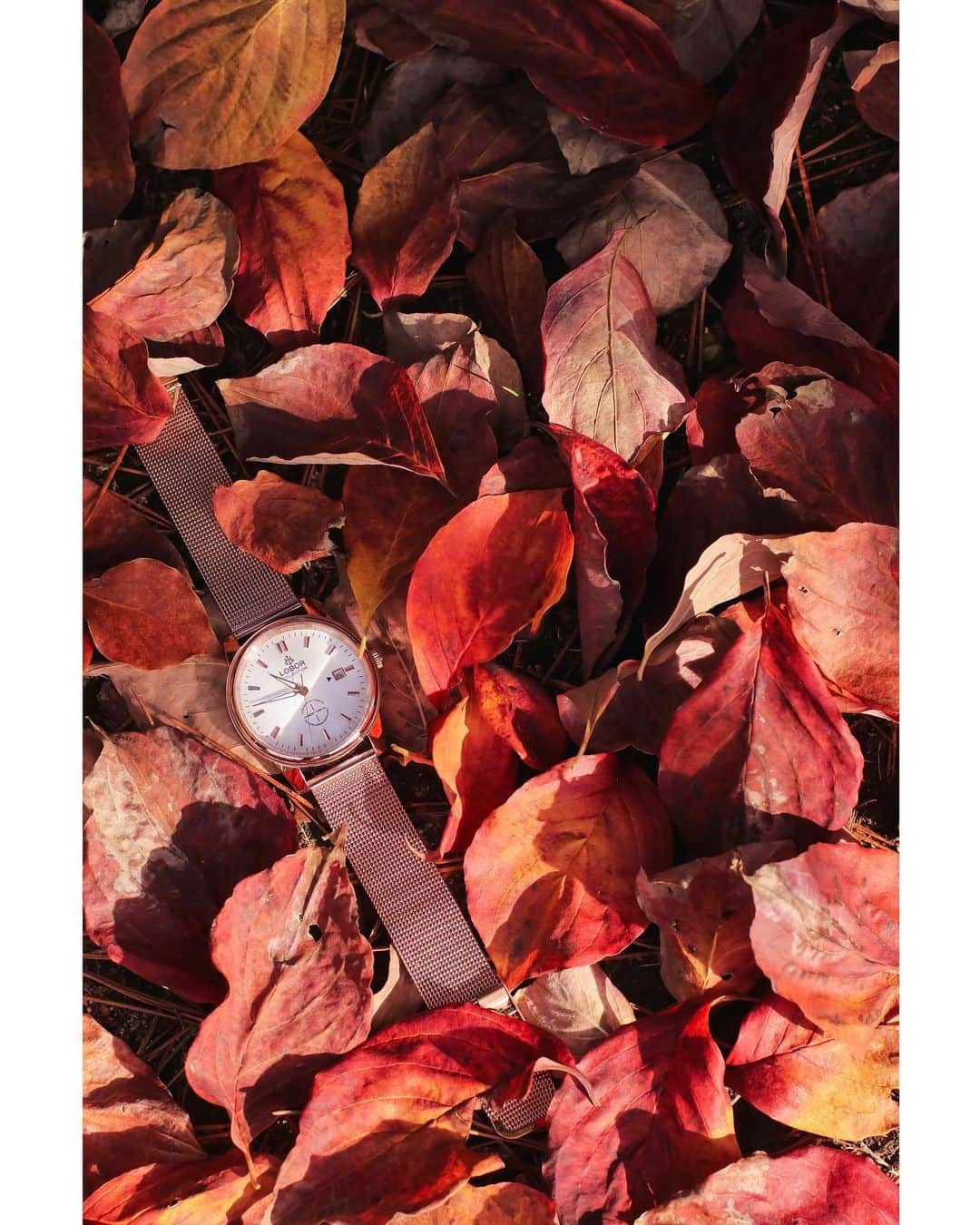 メグのん♡ A k i k oのインスタグラム：「🍁⌚️ Lobor Japan @loborjapan 様より ピンクゴールドの可愛い時計を 提供いただきました♡  秋の夕暮れ散歩道、日没まであと何分？ ふと見る手元、楽しくなる時計です♩  クーポンコード→ megan1015 ご使用で10%OFFになります。 クーポン使用期限は2020年10月15日まで！ 期限たっぷりあるので公式サイトでじっくりお気に入りの時計を見つけてください♡ 🍁⌚️ #lobor #ロバー #腕時計 #時計 #手元倶楽部」