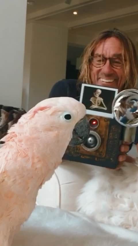 のインスタグラム：「Welcome. Enter if you dare... #HappyHalloween #TellTaleHeart  read by #IggyPop from #EdgarAllanPoe  #ShesMyWitch by #KipTyler #TheFreaksComeOutAtNight by #Whodini  #Moluccan #Cockatoo #Birds #Foolery +  #Ghoulery  #HauntedHouse #BiggyPop 🎃♥️」