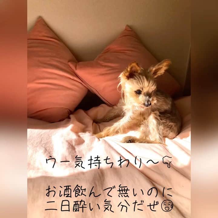 坂本陽子のインスタグラム