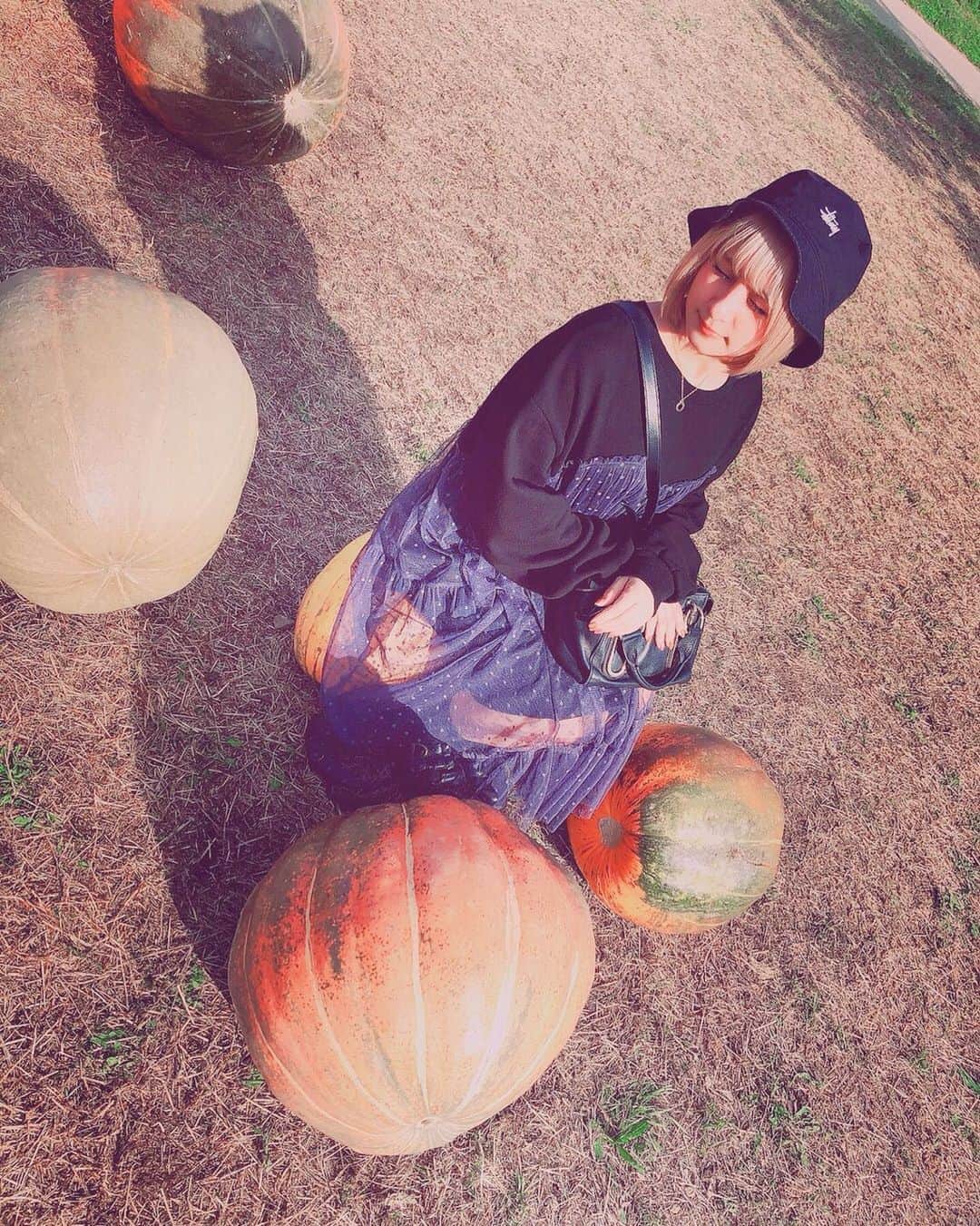 吉田有里のインスタグラム：「🎃🎃🎃﻿ (とてもまぶしい)(撮影📷#井上麻里奈 さん)﻿ ﻿ #happyhalloween #halloween #ハロウィン #かぼちゃ #halloween2019  #ootd #よしだふく #candystripper #stussy」