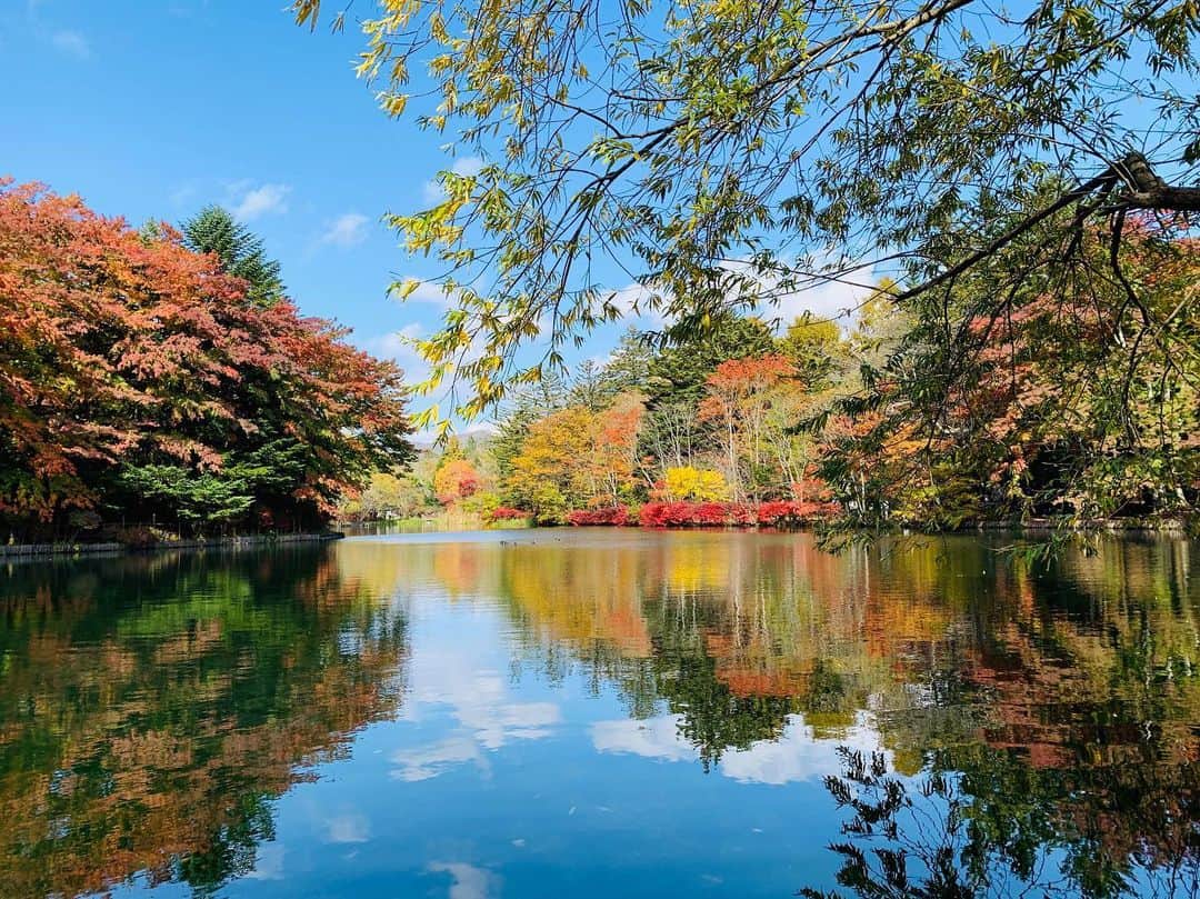 田中悦子のグルメインスタ