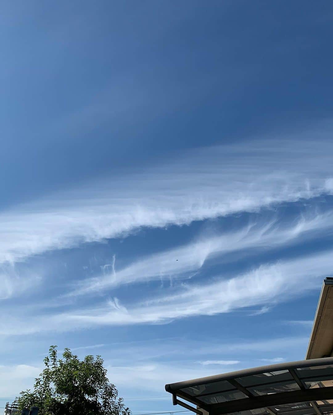 酒井大祐さんのインスタグラム写真 - (酒井大祐Instagram)「先日、ふと空を眺めてみた。  ん〜普通のようなじゃないような。  でもなんか写メ撮ろうと思いたったわけです。 皆さん、空眺めてますか？ #不思議な雲 #不思議な空 #勘違いかな #久しぶりに空を撮った  #ご意見下さい」10月31日 17時21分 - daisukesakai1022
