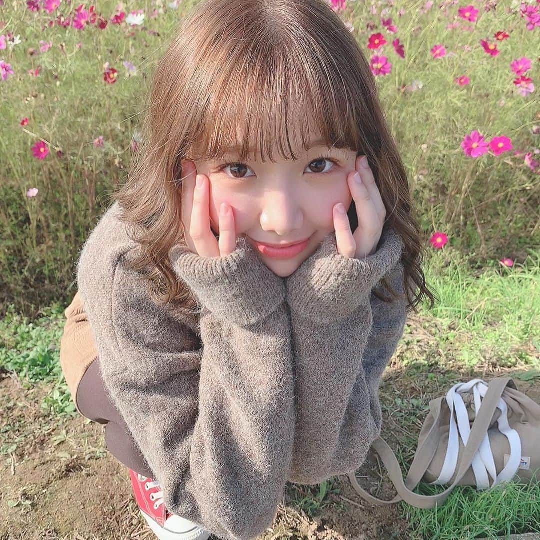 きりまるさんのインスタグラム写真 - (きりまるInstagram)「. このトップスのニット ふうちゃんとお揃いにした🌼 メガネコーデしてるときと おんなじ @fifth_store だよう！ . . 毛布みたいにやわらかくて ゆるく着れるからすきです〜◎ ふうちゃんが 一生懸命とってくれたのでのせます👶🏻♡ . . #ニット#コーデ#154センチ#低身長コーデ#ニットコーデ#カジュアル#コスモス畑#fifth#fifthtl#フィフス#サイドスリットロールアップスリーブニット」10月31日 18時12分 - kirimaruuu