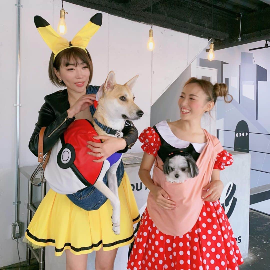 福野来夢のインスタグラム：「Happy Halloween🎃 . #aneacafe #犬との生活 #いぬすたぐらむ #ハロウィンわんこ会 #さとしがサトシ #さとこがピカちゅ #久々のハロウィンすぎて #私はミニーのつもり #わんこ達の着らされてる感 #さとしはポケモン捕まえる気なし #お揃いのスリング #このスリングほんとオススメ」