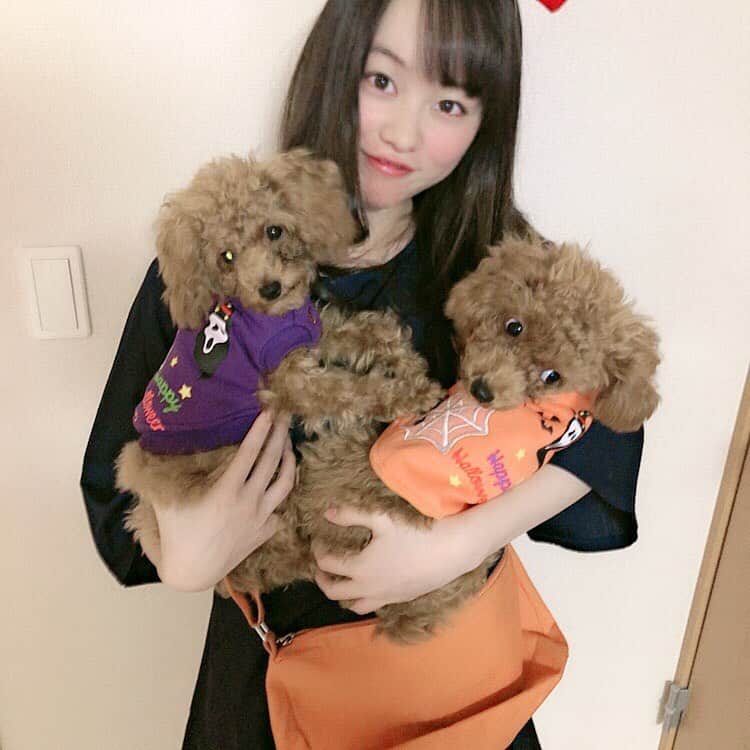 平瀬美里のインスタグラム：「Trick or Treat🧡💜﻿ HappyHalloween✞﻿ キキとコロとニコですｯｯ🎀﻿」