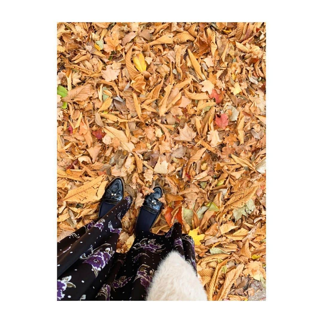 喜多よしかさんのインスタグラム写真 - (喜多よしかInstagram)「大通公園の紅葉が綺麗🍁 ・ 今日は天気が良かったから、黄色の葉っぱが光に透けてて神々しかった〜👼✨ ・ #札幌 #大通公園  #紅葉 #黄色 #秋 #喜多よしか」10月31日 21時04分 - yoshika_1002_official
