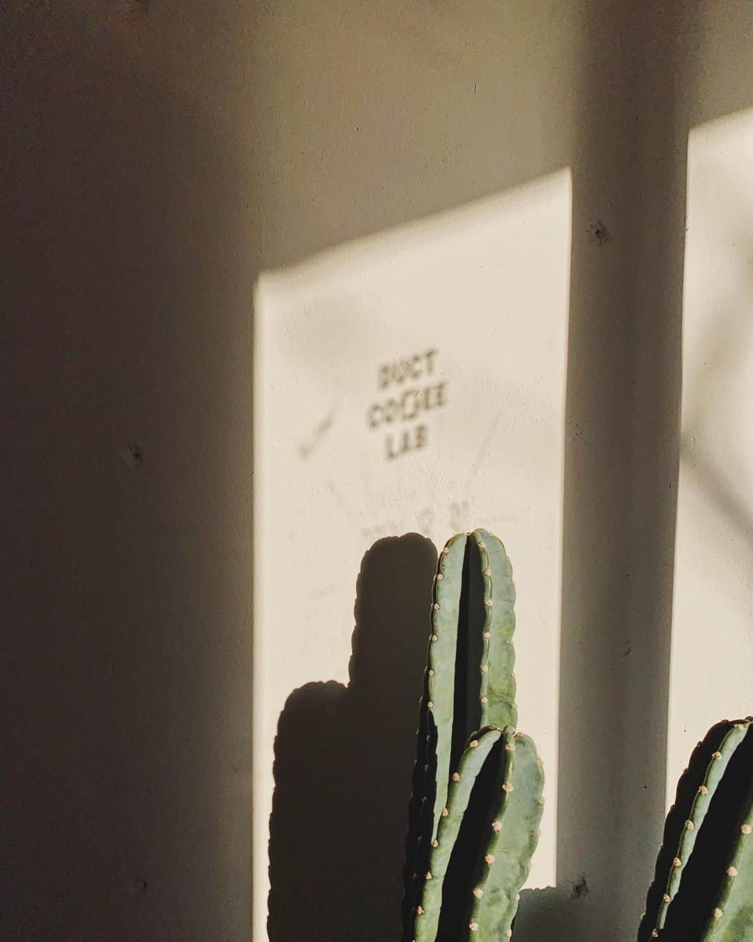 C A F E L O V E Rのグルメインスタ