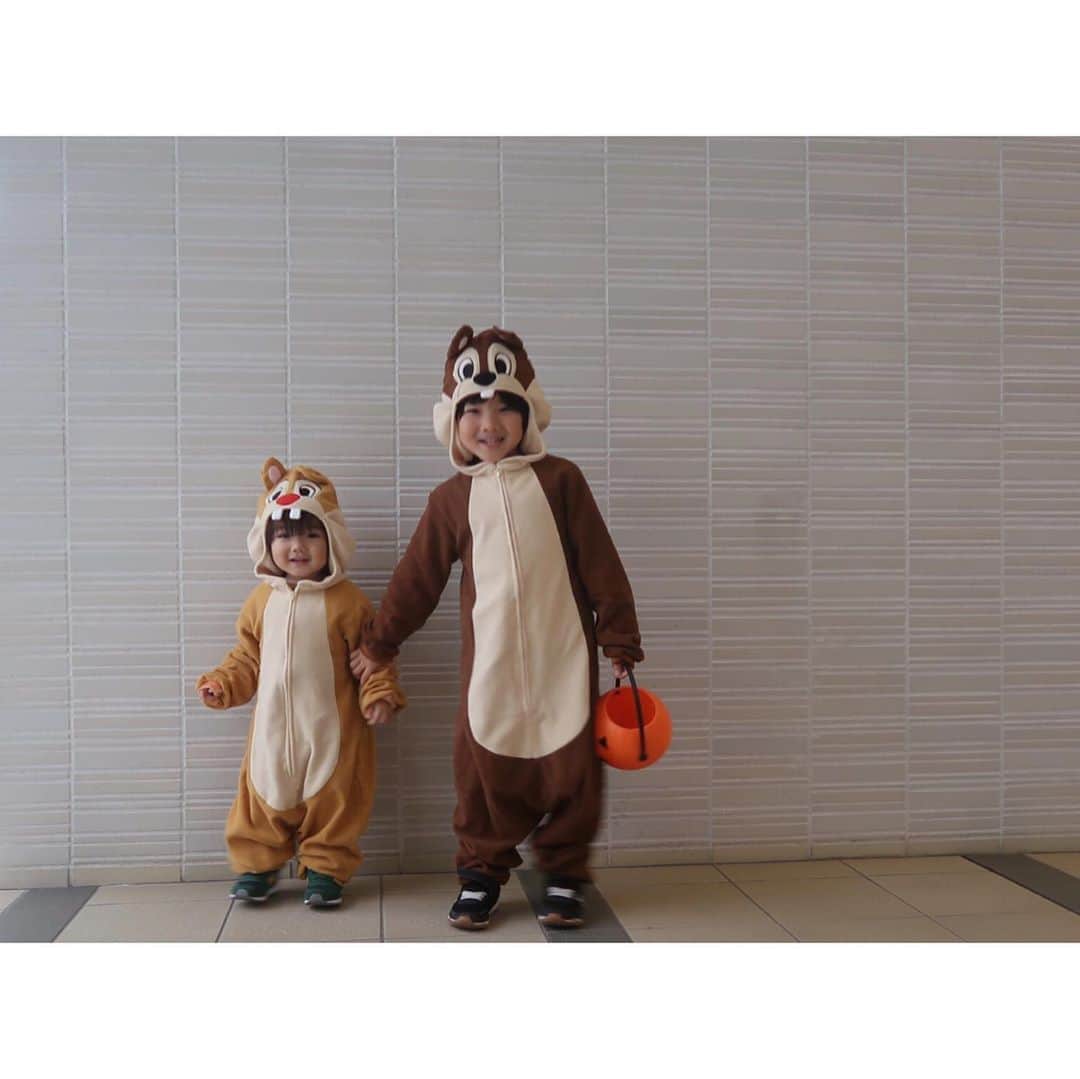 鈴川絢子のインスタグラム：「今年も幼稚園のお友達とハロウィンパーティー🎃👻﻿ ﻿ 兄弟姉妹も合わせて20人ほど集まり、おそろいのかぼちゃバッグとスタンプラリーカードを持ちながらみんなのお家をトリックオアトリートしてまわりました🍬﻿ ﻿ 来年のお衣装は何にしようかな…☺️﻿ ﻿ #ハロウィン2019 #トリックオアトリート」