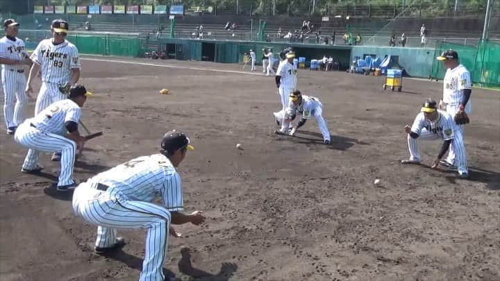 阪神タイガースのインスタグラム