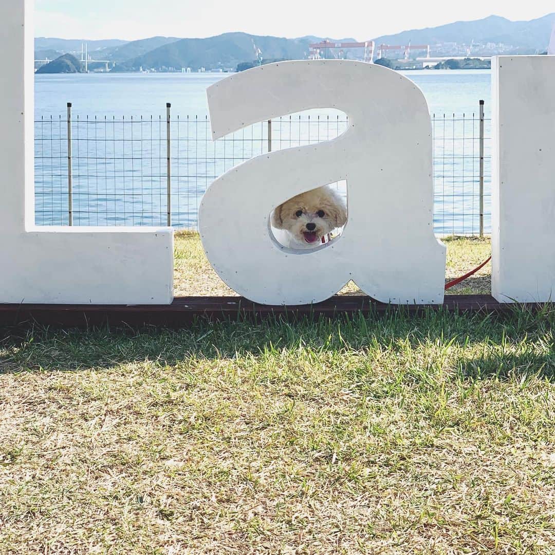 mizuのインスタグラム：「にっこにこ☺︎」