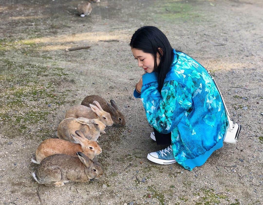 Karunaさんのインスタグラム写真 - (KarunaInstagram)「⛴🍦🐇 忠海でうさぎ達のおやつを買って 念願の大久野島へ行ってきました！ #大久野島 #うさぎ島 #広島 #観光 #ゴミは持ち帰りましょう #うさぎ #hiroshima #rabbitisland #japan」10月31日 22時51分 - karuna0520
