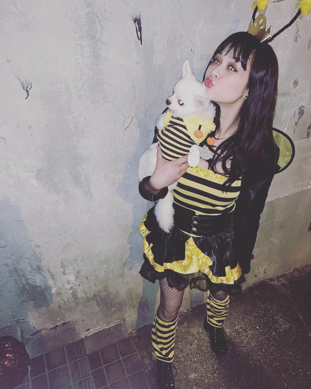 莉奈さんのインスタグラム写真 - (莉奈Instagram)「🐝🐝🐝﻿ ﻿ お待たせ🧡←﻿ ぶんぶんぶんぶん。今年は蜂になりましたっ﻿ ティンクもお揃い！﻿ ただしどこにも出かけてません。笑﻿ ﻿ #halloween #2019 #bumblebee﻿ #おうちハロウィン」10月31日 23時05分 - rinascollage