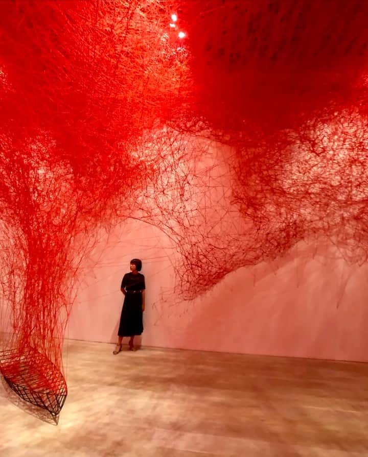 Koichiのインスタグラム：「. . Red strings . . #ShotOniPhone Attachment lens by @tokyo_grapher #TG_Wide #ShotOn_TG .」