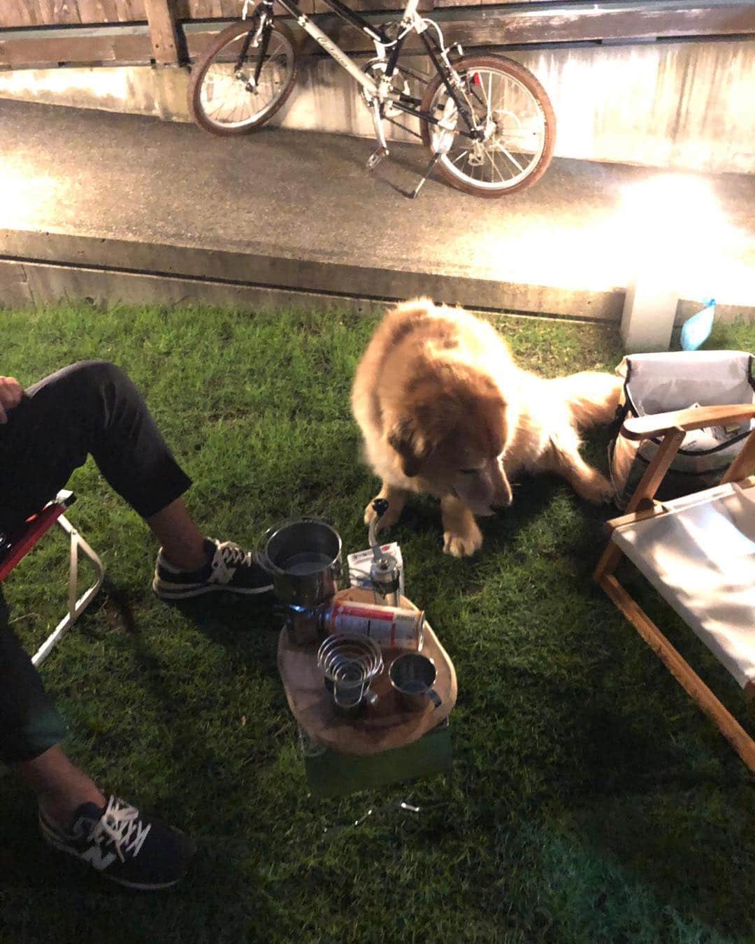 渡辺俊介のインスタグラム