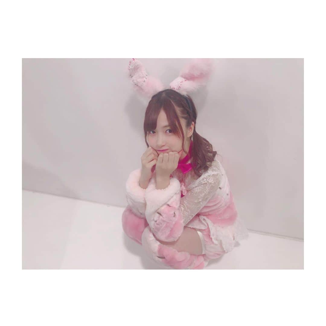 橋本陽菜さんのインスタグラム写真 - (橋本陽菜Instagram)「Happy HARUween🎃 * #rabbit #はるpyon #橋本陽菜を広める」10月31日 23時42分 - 48pyonz_toyama