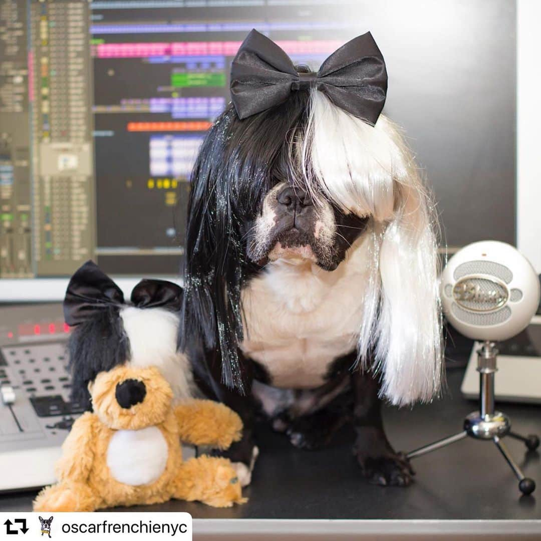 シーアさんのインスタグラム写真 - (シーアInstagram)「Happy Halloween 🎃 👻 🍬 from @oscarfrenchienyc and everyone at #TeamSia」11月1日 1時02分 - siamusic