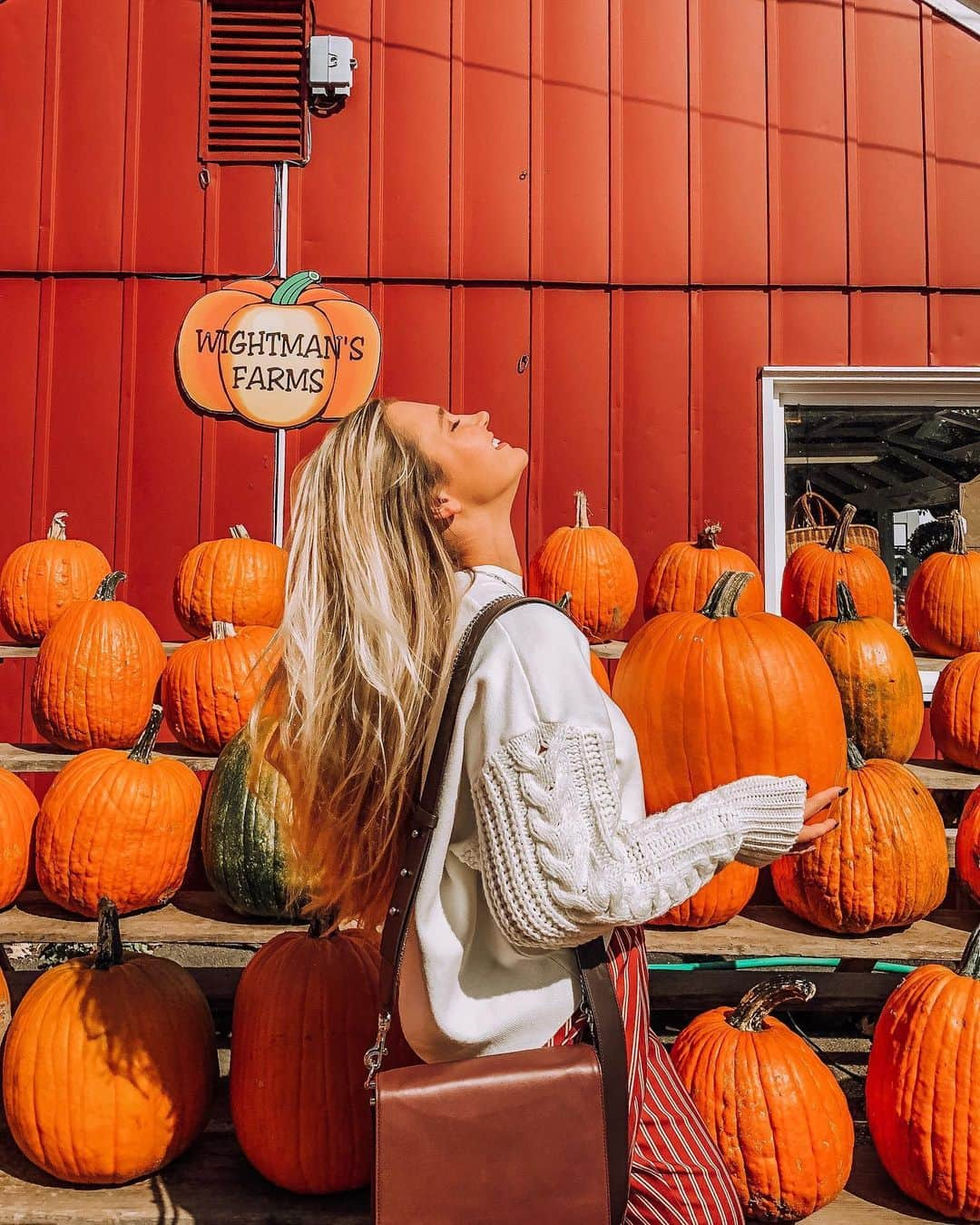 サシャ・カリスさんのインスタグラム写真 - (サシャ・カリスInstagram)「Happy Halloween 🎃👻🖤 What are you going as? 🧡 . . . #halloweencostume #halloween #photography #pumpkin #fall #fallfashion #fashion #blogger #cozy」11月1日 1時47分 - _bahamasgirl_