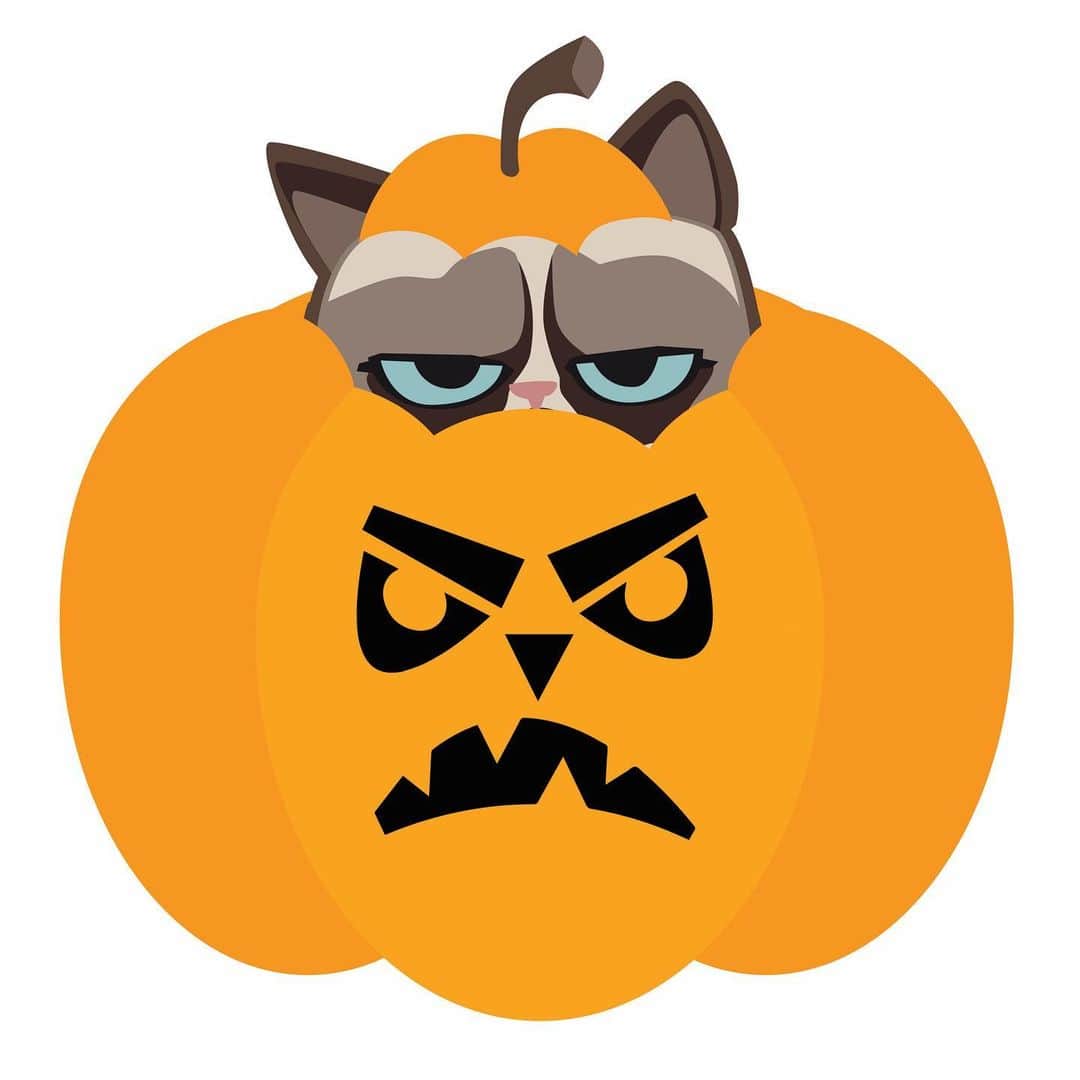 Grumpy Catさんのインスタグラム写真 - (Grumpy CatInstagram)11月1日 2時24分 - realgrumpycat