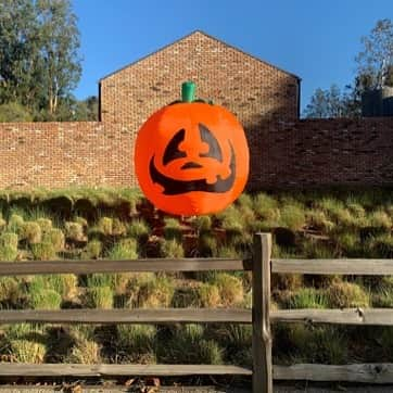 ダイアン・キートンさんのインスタグラム写真 - (ダイアン・キートンInstagram)「THIS JUST SHOWED UP IN FRONT OF MY HOUSE. IS THAT HOW HALLOWEEN WORKS? HAPPY HALLOWEEN!」11月1日 3時45分 - diane_keaton