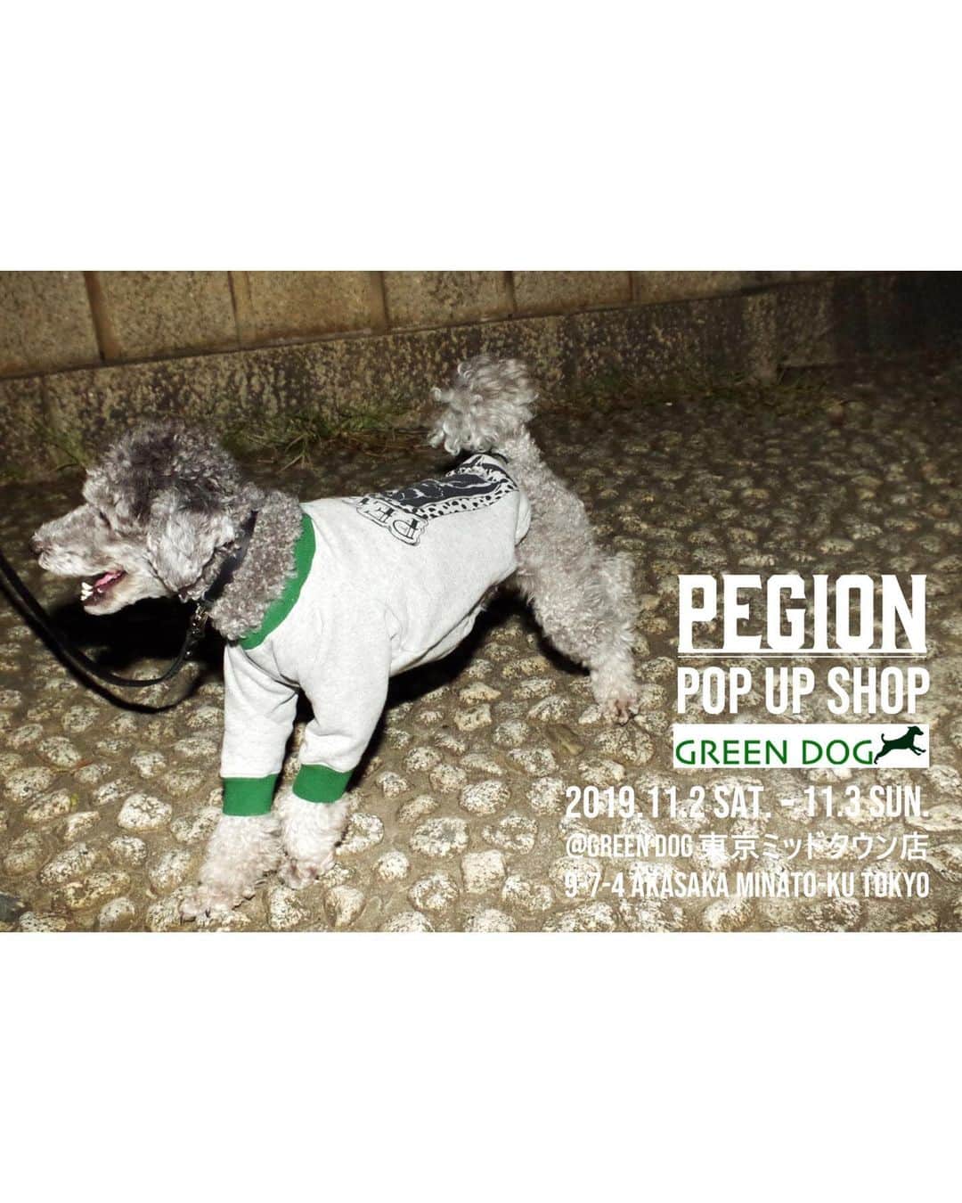 PELIのインスタグラム：「PELI2日間店頭に居ます！ 【PEGION POP-UP SHOP】 11/2(土),11/3(日) 日本で最も信頼を寄せられている、愛犬のフードやケア用品などを取り扱うGREEN DOG（東京ミッドタウン店六本木）で、2日間限定のPEGION POP-UP SHOPを開催いたします。 . PEGIONオリジナルブランド「HAINU（ハイヌ）」の犬服をはじめ、アーティスト達とのコラボレーションアイテムも展開いたします。期間中はデザイナーのPELIも店頭におります。 皆様のお越しをお待ちしております！ . ＜GREEN DOG＞ GREEN DOGは創業18周年。「犬と暮らす喜び、健康、笑顔」をモットーに、厳選されたペットフードを中心に取り扱う老舗のセレクトショップです。現在は東京ミッドタウン店、代官山店（T-SITE内）、SQUARE店（神戸）、湘南店（T-SITE内）、牧方店（T-SITE内）とおしゃれエリアで店舗を展開。そのこだわりは多くの愛犬家に愛され続けています。 . _________________  GREEN DOG 東京ミッドタウン店 東京都港区赤坂9-7-4 東京ミッドタウンガレリア1F  11/2(土)～11/3(日) 11:00～21:00 03-5413-0050 _________________ . #PEGION #PEGION_DOG #GREENDOG  #GREENDOGTOKYOMIDTOWN #東京ミッドタウン六本木 #dog #instadog #今日は犬の日　#犬の日」