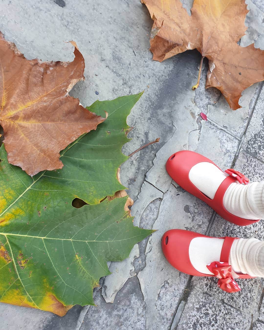 チョン・シアさんのインスタグラム写真 - (チョン・シアInstagram)「낙엽이 큰거니 발이 작은거니 🍁🍁🍁 #서우공주_」11月1日 13時47分 - jung.sia