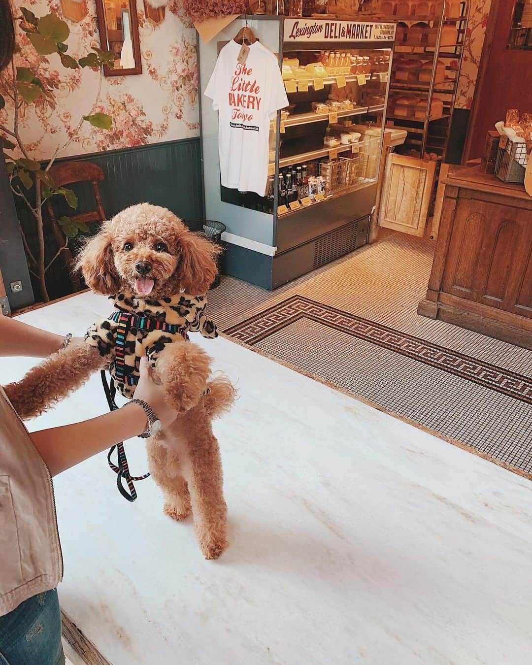 照井和希のグルメインスタ