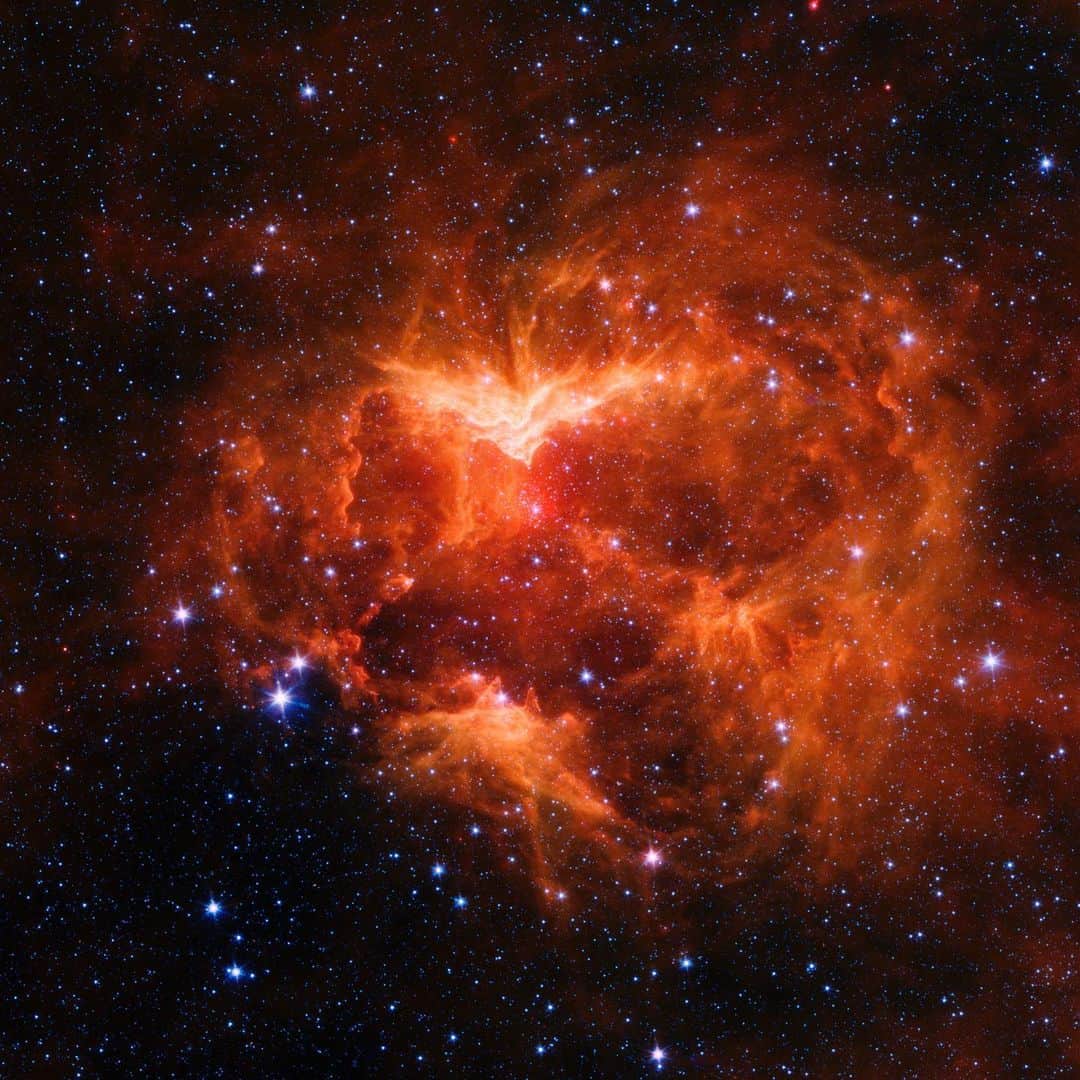 NASAさんのインスタグラム写真 - (NASAInstagram)「It takes more than a candle to light this cosmic pumpkin. 🎃  In this infrared image from our @NASA_Spitzer Space Telescope, a massive star in the center of a cloud of dust and gas creates what researchers have nicknamed the "Jack-o-lantern Nebula." ⁣ ⁣ Powerful outflows of radiation and particles from a massive star — known as an O-type star and about 15 to 20 times heavier than the Sun — has likely swept the surrounding dust and gas outward, creating deep gouges in the cloud.  The red wavelength is more pronounced in this high-contrast image, highlighting contours in the dust as well as the densest regions of the nebula, which appear brightest. ⁣ ⁣ Image Credit: NASA/JPL-Caltech⁣ ⁣ #halloween #spitzerspacetelescope #cosmic #pumpkin #jackolantern #nebula⁣」11月1日 6時21分 - nasa