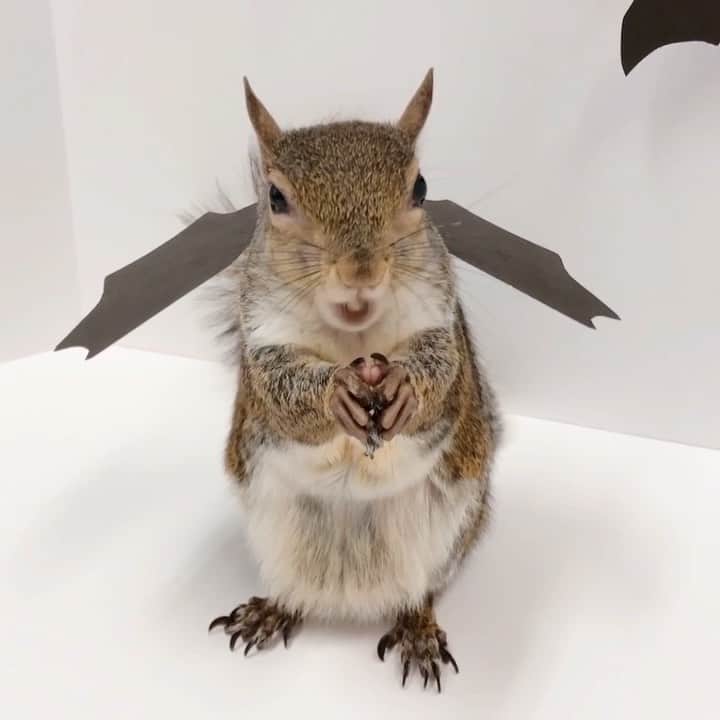 Jillのインスタグラム
