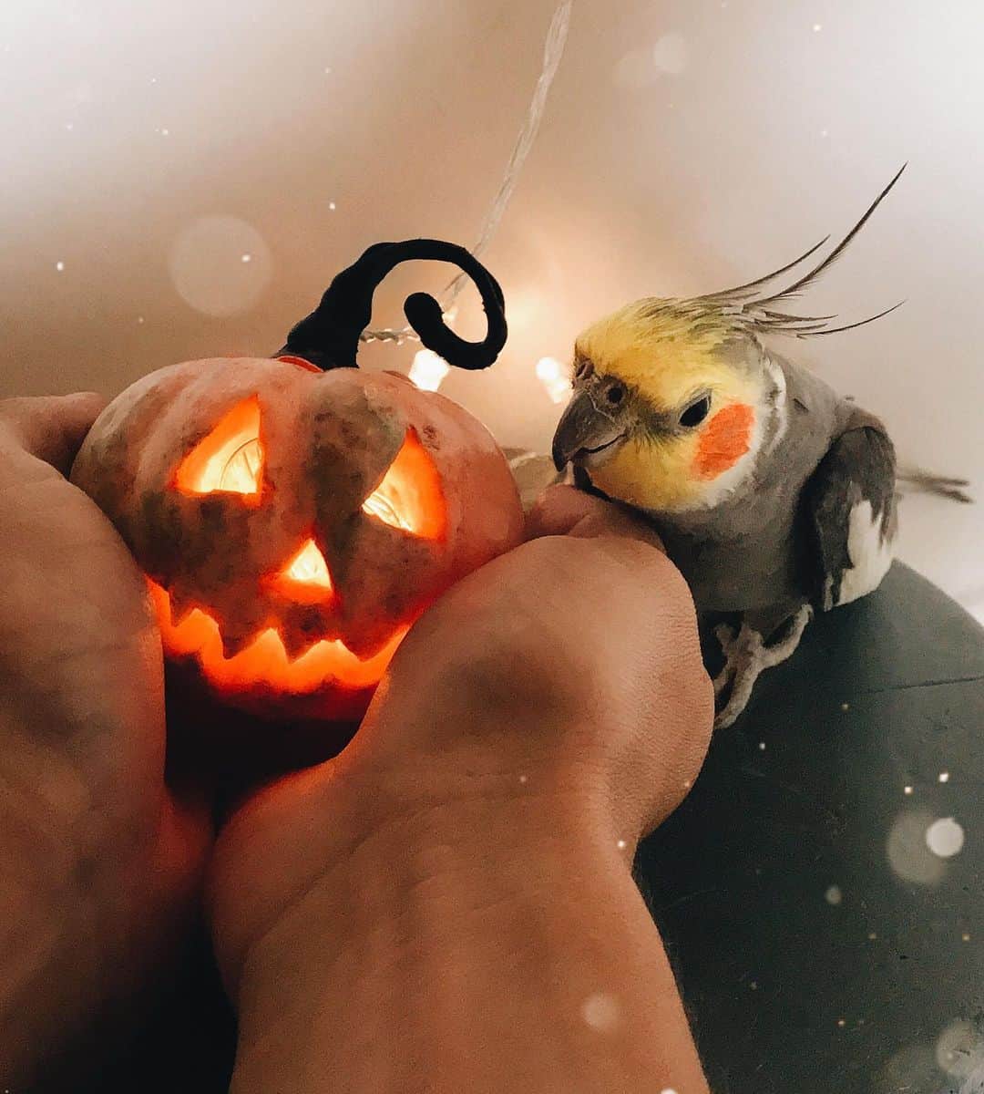 のインスタグラム：「🎃✨🎃」