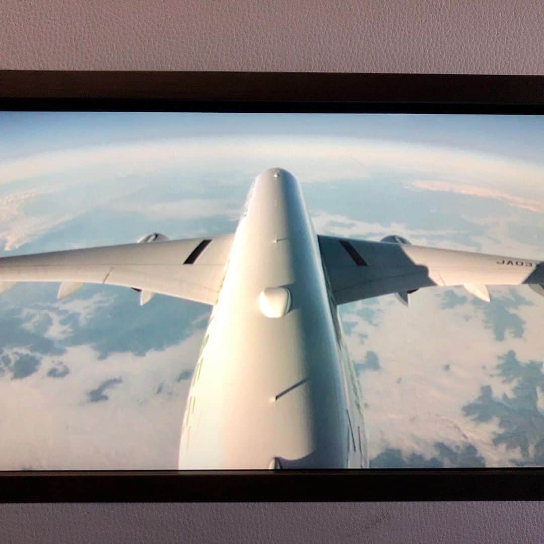 田中要次のインスタグラム：「新型のJAL機の尾翼にはGoProが装備されたのかしらね？」