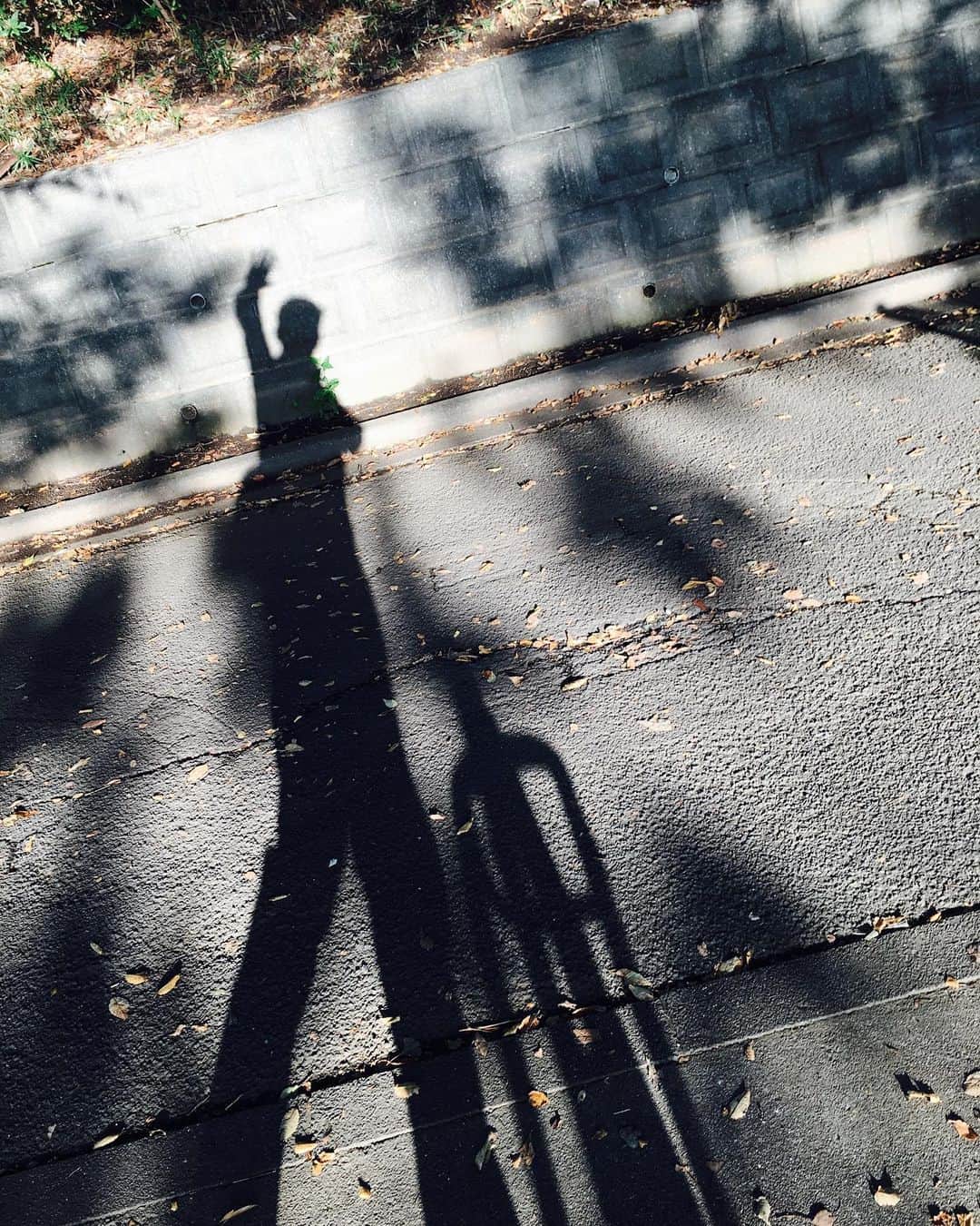 のインスタグラム：「goodmorning！ #goodmorning 今朝は清々しい。」