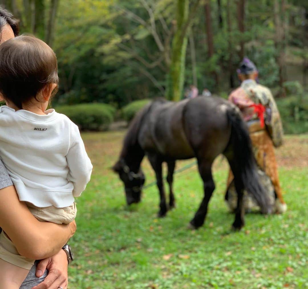 花田浩菜のインスタグラム：「公園の中にお馬さんを発見🐎 . . ちょうど#芹ヶ谷公園 に遊びに行った日は#町田時代祭り がやっていて。時代行列や#流鏑馬 なども見れたんです！ こんな目の前で日本の伝統儀式が見れるなんて、息子はもちろん、大人にとってもとても良い機会でした😊✨ . . 芹ヶ谷公園は敷地がとても広いのですが、敷地内には#国際版画美術館 もあり、この日は美術館前でもイベントがやっていて、食器やお花が売っていたり、似顔絵を描いてもらえたり、吹きガラス体験、絵画に子供たちがシールを貼って着物を表現しよう！というコーナーや広場ではたくさんのフードトラックも出ていたりとってもとっても楽しめました😊❤️ . . もう少し大きくなったら楽しめそうな自然いっぱいのアスレチック広場、#せりがや冒険遊び場　もあったりと1日中楽しめる公園。 自然に興味を持ち、虫を追いかけ入り回る躍動感満載な元気な息子の写真もたくさん撮れました❤️😂🔜スワイプ 毎週末遊びに来たいくらい楽しめました♪桜の時期にはとても綺麗で桜祭りもやっているそうなので、また季節を変えても遊びに来たい😍✨ プロフィールから飛べるブログには、芹ヶ谷公園周辺のスポットも紹介しています📖💕 . . @tamahatsu_official #たま発  #tamahatsu  #PR  #多摩の魅力発信プロジェクト #町田 #芹が谷公園 #やぶさめ #子供とお出かけ #家族でお出かけ #赤ちゃんのいる生活 #2歳1ヶ月 #2歳 #男の子ママ #ママライフ #2人目妊娠中 #成長記録 #育児日記 #遊び場東京 #東京再発見 #お外遊び #ig_oyabakabu #happy  #happydays」