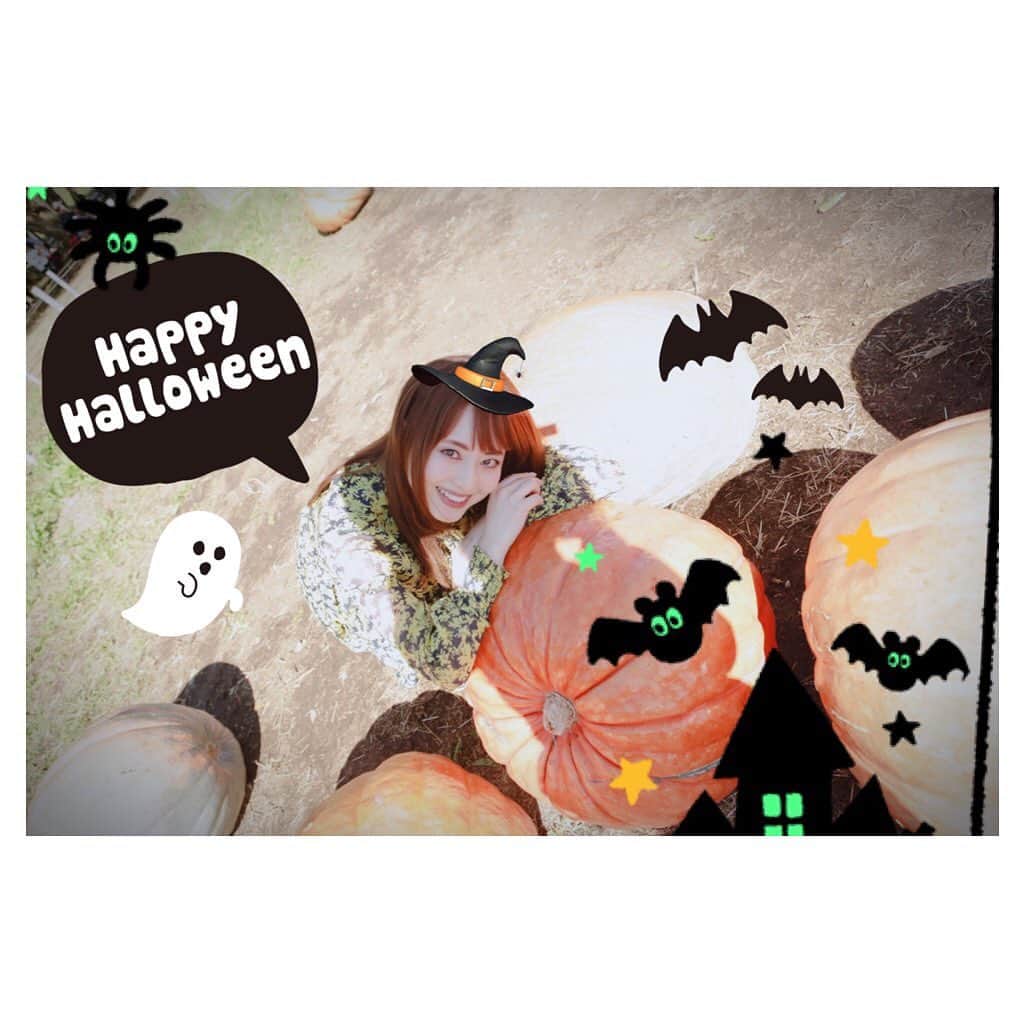 吉沢明歩さんのインスタグラム写真 - (吉沢明歩Instagram)「🎃かぼちゃみーっけ🎃  #ハロウィン #かぼちゃ#海浜公園」11月1日 10時50分 - akiho__yoshi