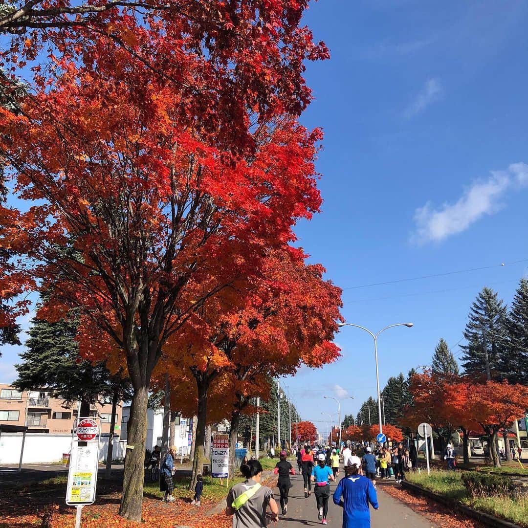堀内大輝さんのインスタグラム写真 - (堀内大輝Instagram)「🏃‍♂️ 先週末は、 #フードバレーとかちマラソン へ！ ハーフマラソンの大会は初めてでしたが、 2時間と少しで完走しました！  空気は綺麗だし、 #紅葉 をみながらのランは気持ちよかった！ 帯広は赤が濃くてきれい！  #六花亭 のシュークリームも補給食に出してくれて、 地元民としては感無量です！ #豚汁 も美味しかった！ 十勝は美味しい食べ物いっぱいなので もっとそれをPR出来る機会になれば嬉しいですね。  さあ、来年は何回走れるかな！🏃‍♂️ 雪が降るまでランニングくらいは続けようと思います。  #帯広 #十勝 #とかち #マラソン #ランニング #ハーフマラソン #とかち観光大使 #堀内大輝」11月1日 11時12分 - hbc_daikihoriuchi