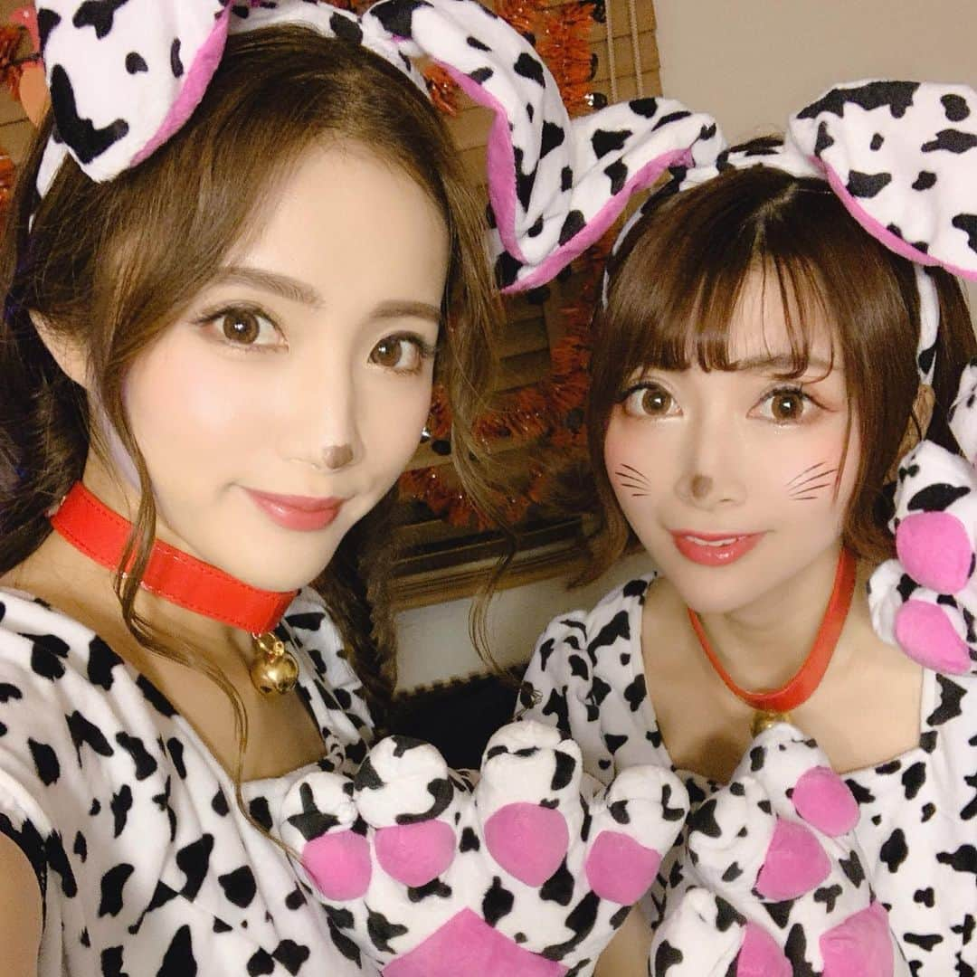 ますぶちさちよさんのインスタグラム写真 - (ますぶちさちよInstagram)「ぬうちゃんと🐶💕 でもぬうちゃん髭のせいで猫みたいになってる🐱 #コスプレ」11月1日 11時19分 - sachiyomasubuchi___