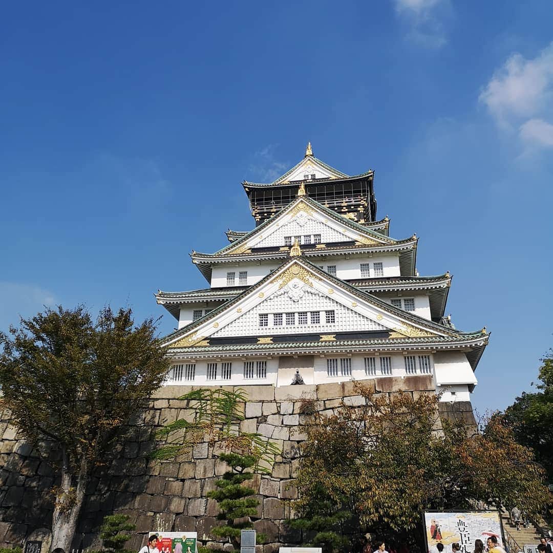 なだぎ武さんのインスタグラム写真 - (なだぎ武Instagram)「朝はよ目が覚めたので、大阪城外周を10キロほどランしてきた。。久しぶりに日のあるうちに城を眺める。いいねー。大阪滞在中のランニングも今日で最後かなー。。本日の舞台『ボクのサンキュウ。』は19時30分開演。大阪梅田HEPホールでおまちしておりますよー😄 #ランニング男子  #ボクのサンキュウ」11月1日 11時48分 - nadagigigi
