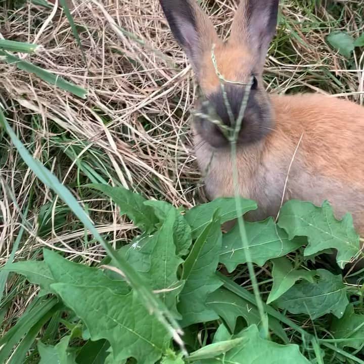 佐久間一行のグルメインスタ