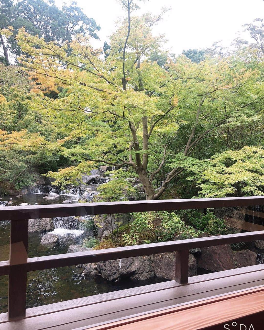 平嶋夏海さんのインスタグラム写真 - (平嶋夏海Instagram)「寒川神社へ御祈祷に…⛩ 璃子と行きました☺️ 周りからも寒川神社はとてもいいと聞くことが多かったのです 神嶽山神苑にも入りました 地元のやお仕事で以外ではプライベートで神社に行くのは初めてかも😌」11月1日 12時42分 - natsuminsta528