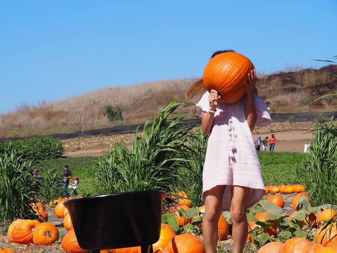 のインスタグラム：「Happy Halloween🎃」