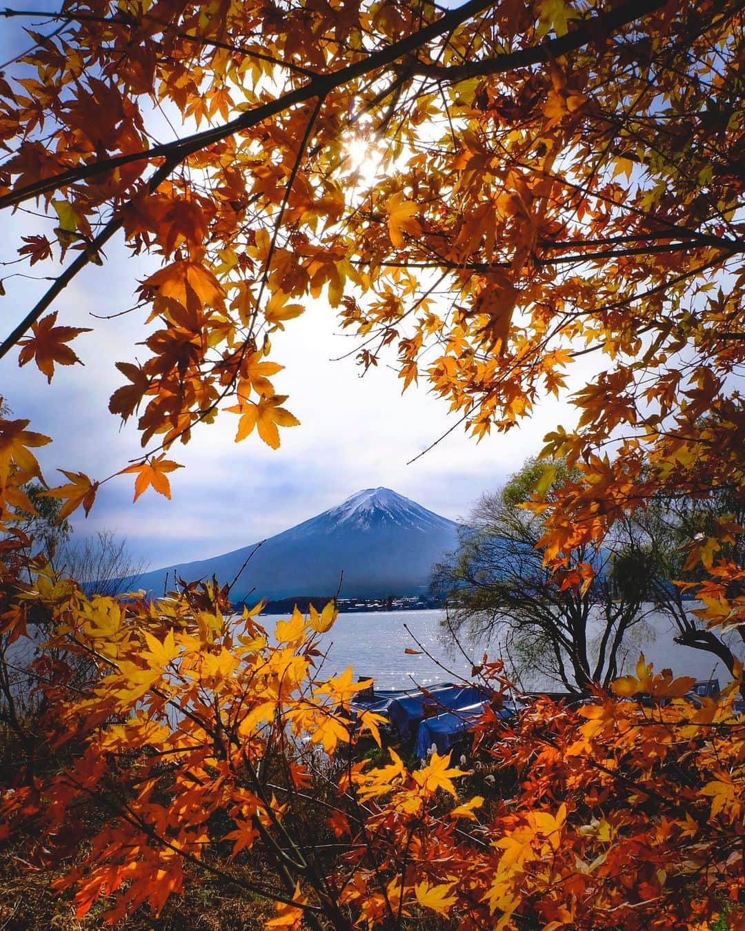 田村幸士のインスタグラム：「colored JAPAN🍁」
